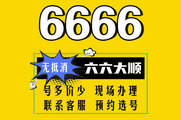 巨野尾号666吉祥号回收