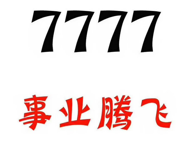 定陶尾号777吉祥号回收