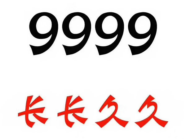 定陶尾号999吉祥号回收