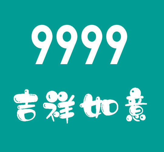 菏泽尾号9999吉祥号